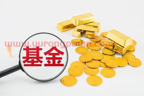 100元基金怎么样买的（100元买基金有收益吗）