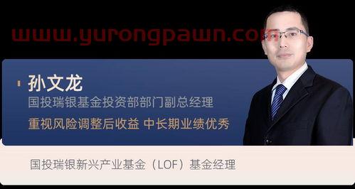 聪明的投资者最佳基金经理(最佳基金经理人) 聪明的投资者最佳基金经理(最佳基金经理人)