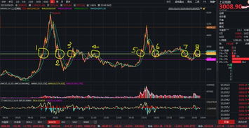 买基金怎么选大盘股票呢（基金怎么买大盘指数）