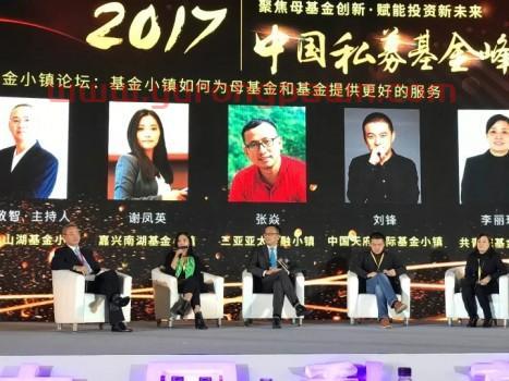 基金小镇企业投资公司（基金小镇是做什么的）