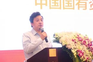 中国风险投资基金总经理（国家风险投资基金执行董事）