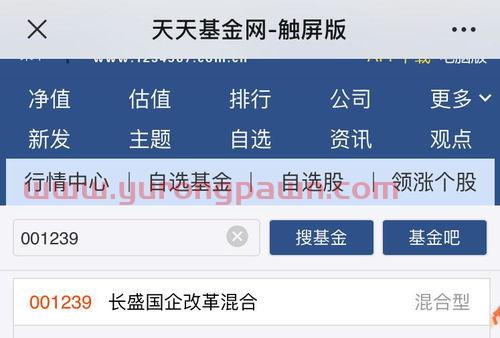 三月买基金买什么好（3月买什么基金好）