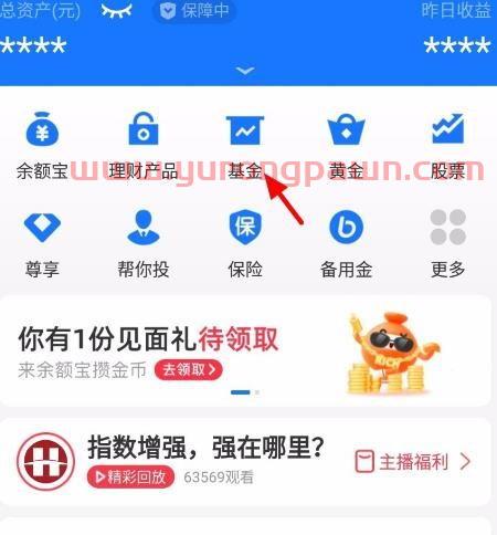 支付宝基金怎么看收益曲线（支付宝基金哪里看收益率）