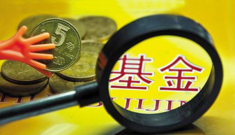 未来该买什么基金好（未来买基金买哪方面好）