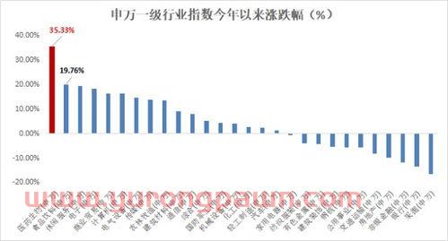 消费医药怎么买基金的股票（消费医药是什么意思）