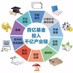 引进头部基金怎么样才能买（引入基金）
