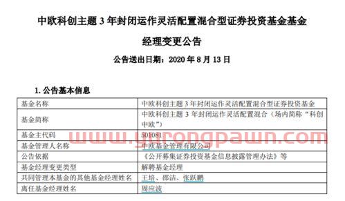 上海基金经理排名（上海著名基金公司）