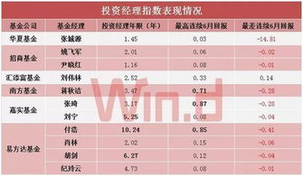 基金经理年均回报排名（基金经理年均回报率怎么算）