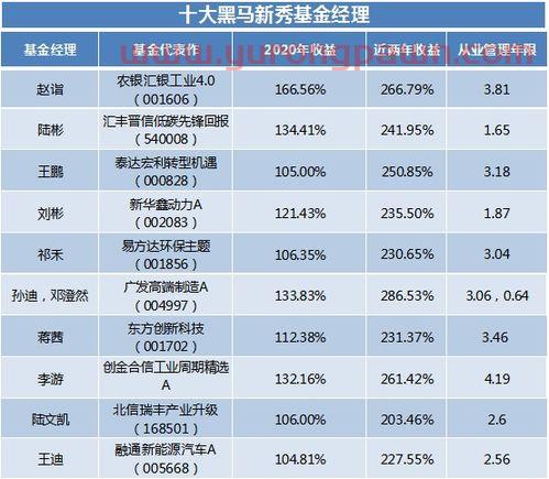 黑马基金经理排名（黑马基金投资项目）