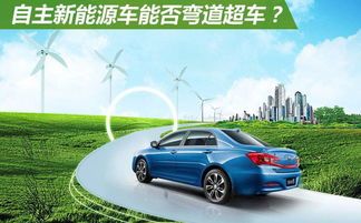 中日合作电动汽车价格表（中日合资汽车品牌大全）