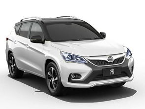 电动汽车价格表宋（宋车价格suv电车）