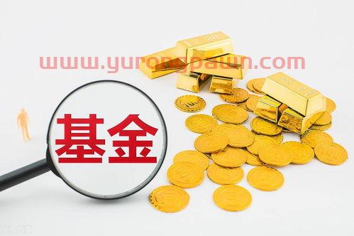 基金买新发售基金怎么样（新基金发售该买吗）