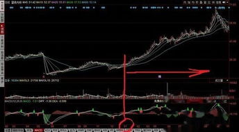 炒股入门(炒股入门初学者基础知识)