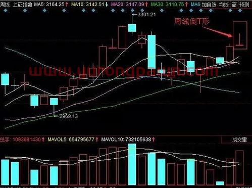 定投(定投指数基金的技巧和方法)