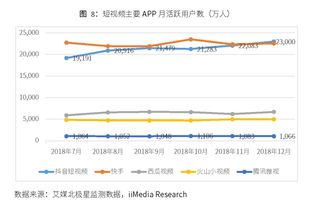 财务报表审计(财务报表审计报告收费标准)