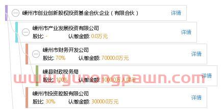 嵊州城市基金投资公司(嵊州城市基金投资公司地址)