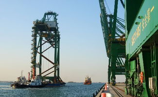 天津东疆金融服务业政策(天津东疆保税港区金融服务促进局)