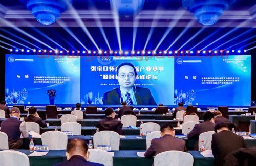 经济与金融专业软件学什么(经济与金融专业好学吗)