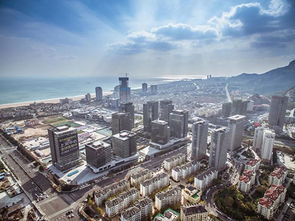 金家岭金融区服务业有哪些(金家岭金融中心)