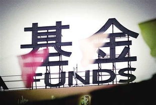 专业机构买基金怎么样买(专业机构买基金怎么样买的)