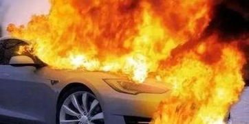 集火电动汽车价格表图片(集火工作室是做什么的)