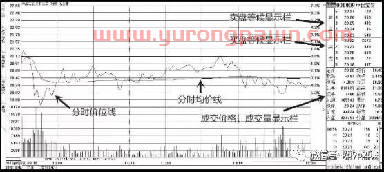 民间股神破解分时走势图中的买卖玄机，从此不再一买就跌一卖就涨！