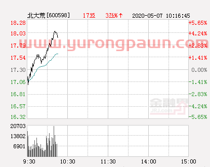 北大荒大幅拉升3.7% 股价创近2个月新高