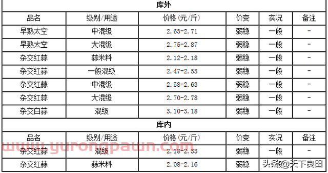 6月30日金乡大蒜*价格行情