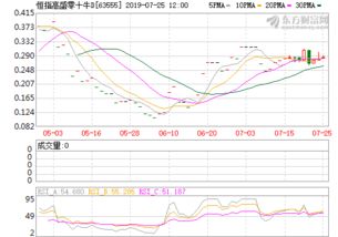 东北证券手机交易(东北证券手机交易软件有几个)