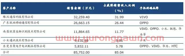 大山估值：安洁科技 成长可期