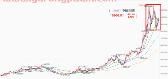 基金三季度报“新鲜出炉”，我的基金该怎么办？