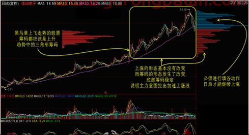 干货分享！史上最全**钱的筹码学精讲！