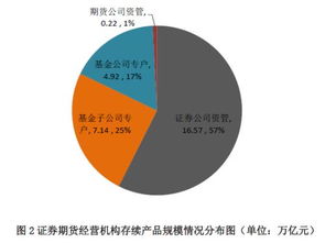 中芯国际未来股价