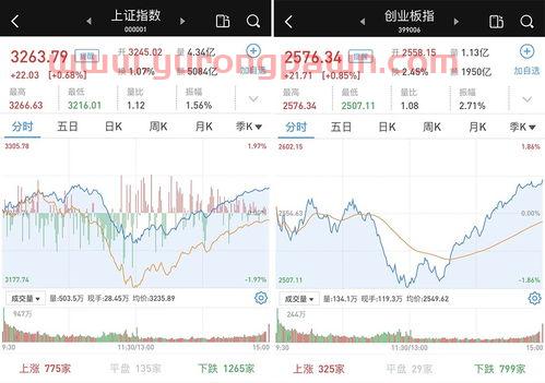 金智科技股票股吧