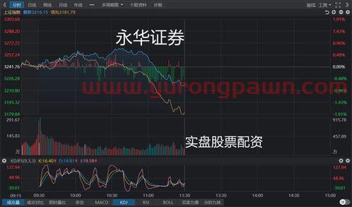 163113基金净值查询