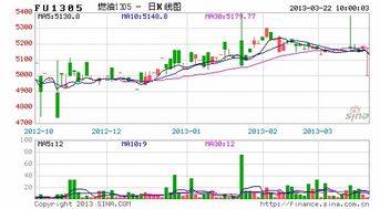 中国国际金融上海分公司 席位