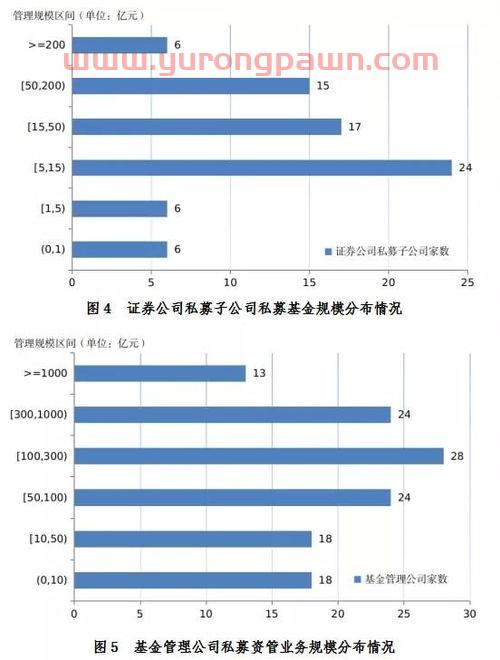 2019金乡大蒜*价格