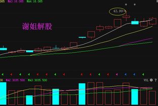 中小企业发展专项资金