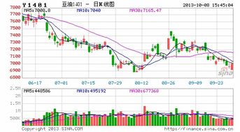 国元证券领航版