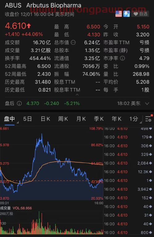 华龙证券app下载安装