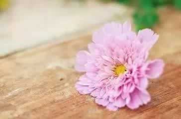 在黑网提现失败说通道维护碰到了如何破解（图）