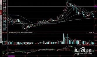 别买基金和股票怎么选股（别买基金和股票怎么选股）