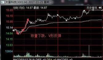 新手怎么买第一笔基金股票（新手怎么买入基金）