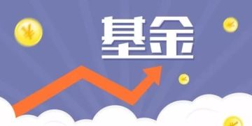 基金投资公司赚钱吗(基金公司做投资) 基金投资公司赚钱吗(基金公司做投资)