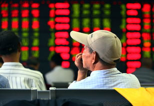 基金内部散户怎么买股票（基金散户能赚钱吗）