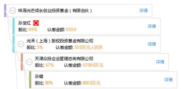 光芒基金美国投资公司(光芒 公司) 光芒基金美国投资公司(光芒 公司)