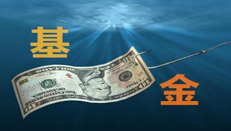 拿20万买基金怎么样(买了20万基金安全吗) 拿20万买基金怎么样(买了20万基金安全吗)