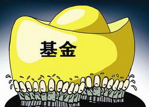 跟风买什么基金好一点(买什么基金风险低) 跟风买什么基金好一点(买什么基金风险低)