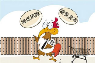 招商银行基金定投费用（招商银行基金定投费用多少）