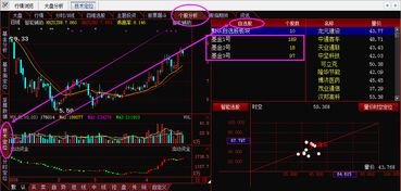 自选股票怎么用指标买基金(自选股怎么编指数) 自选股票怎么用指标买基金(自选股怎么编指数)